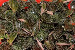 �S��q���rƷ