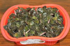 ��t�{(l��n)�rƷ23#