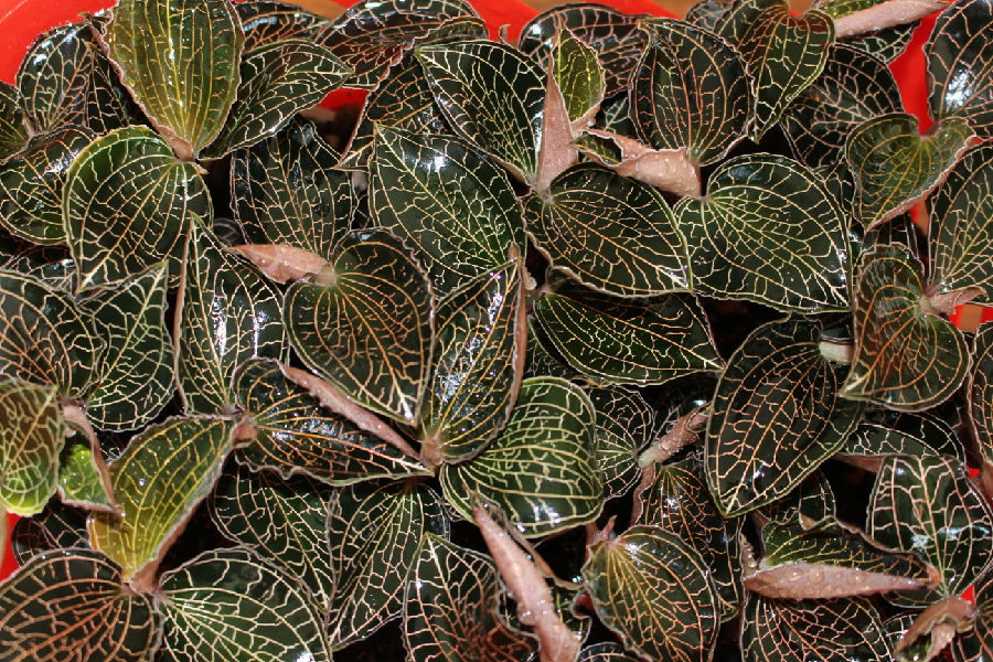 照片 193_看圖王.jpg