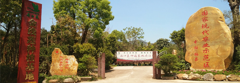 ��w��(l��i)��(xi��n)ɏ�Nֲ����